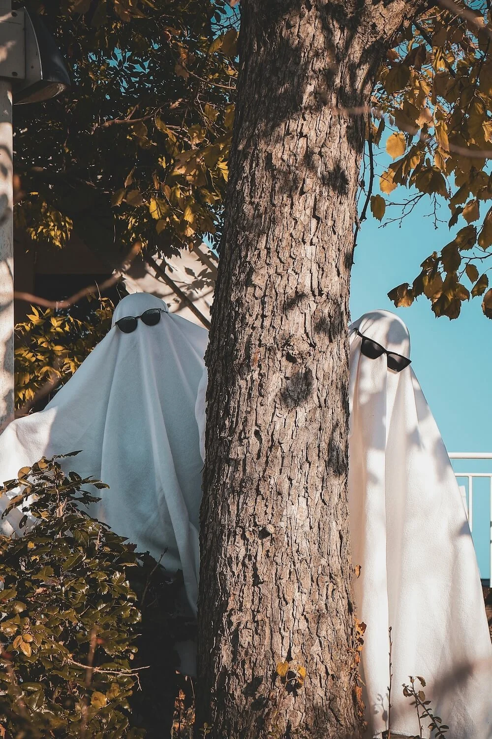 Photo of two people in sheets with sunglasses behind tree by Fabrice Büsching on Pexels