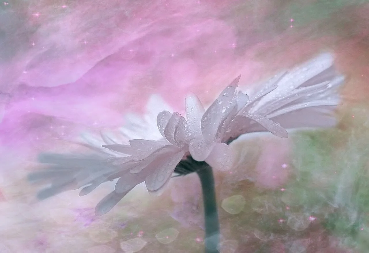 Angels & Colors: 7 Most Common Angel Light Colors Symbolism