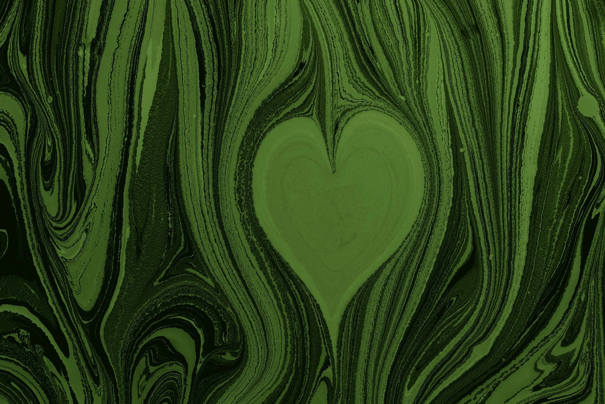 Green heart leaf by Turgay Koca on Pexels