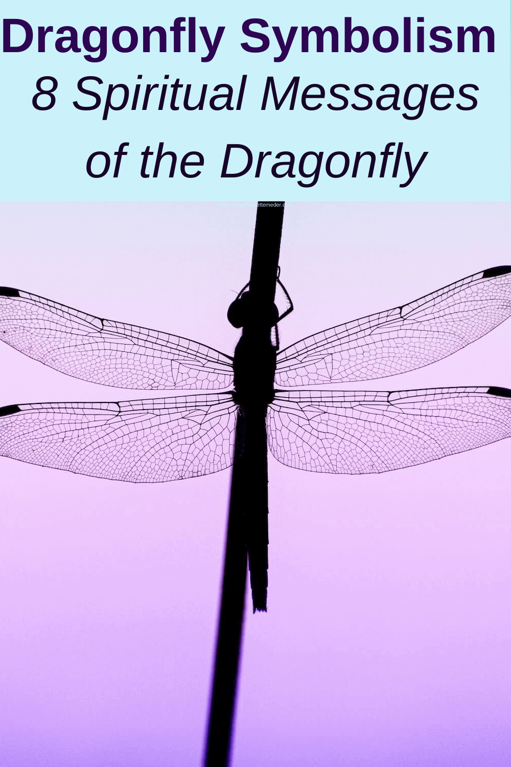 Photo of dragonfly silhouette on blue and purple background by Nithin Shastri on Pexels