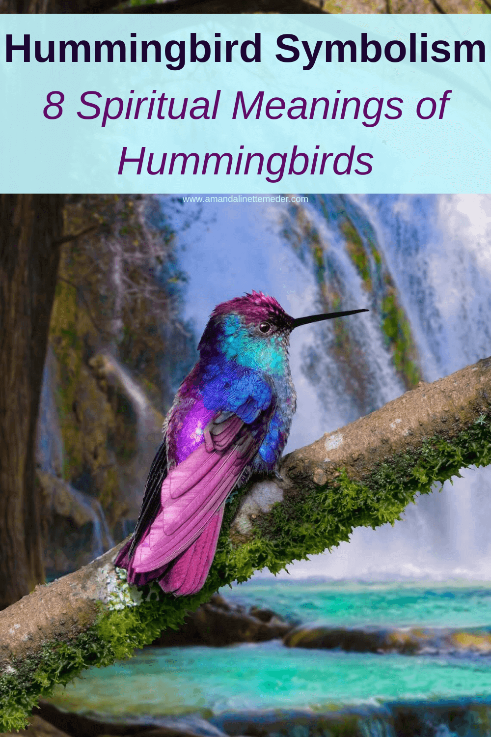 Image of magenta, blue and green hummingbird on branch with water background by gene1970 from Pixabay with text overlay Hummingbird Symbolism: 8 Spiritual Meanings of Hummingbirds