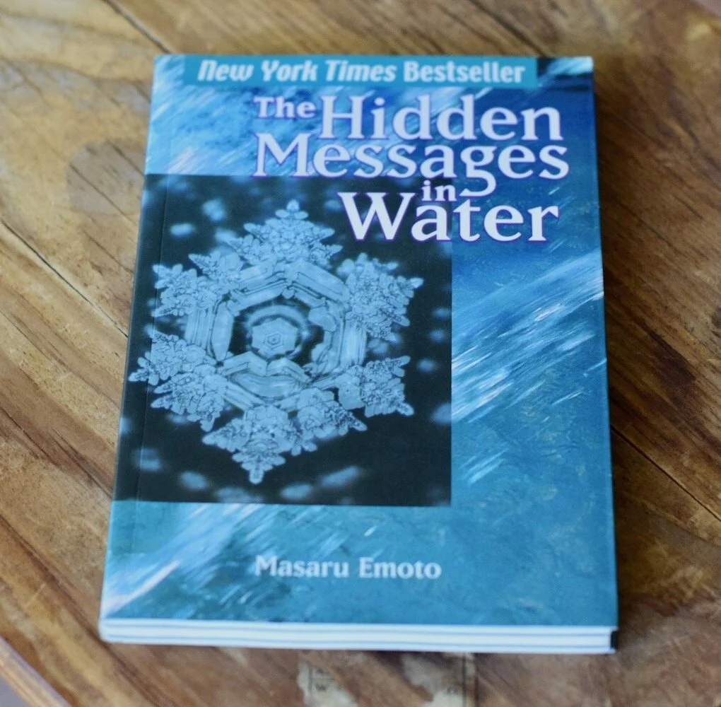 Photo of the book, The Hidden Messages in Water, by Amanda Linette Meder