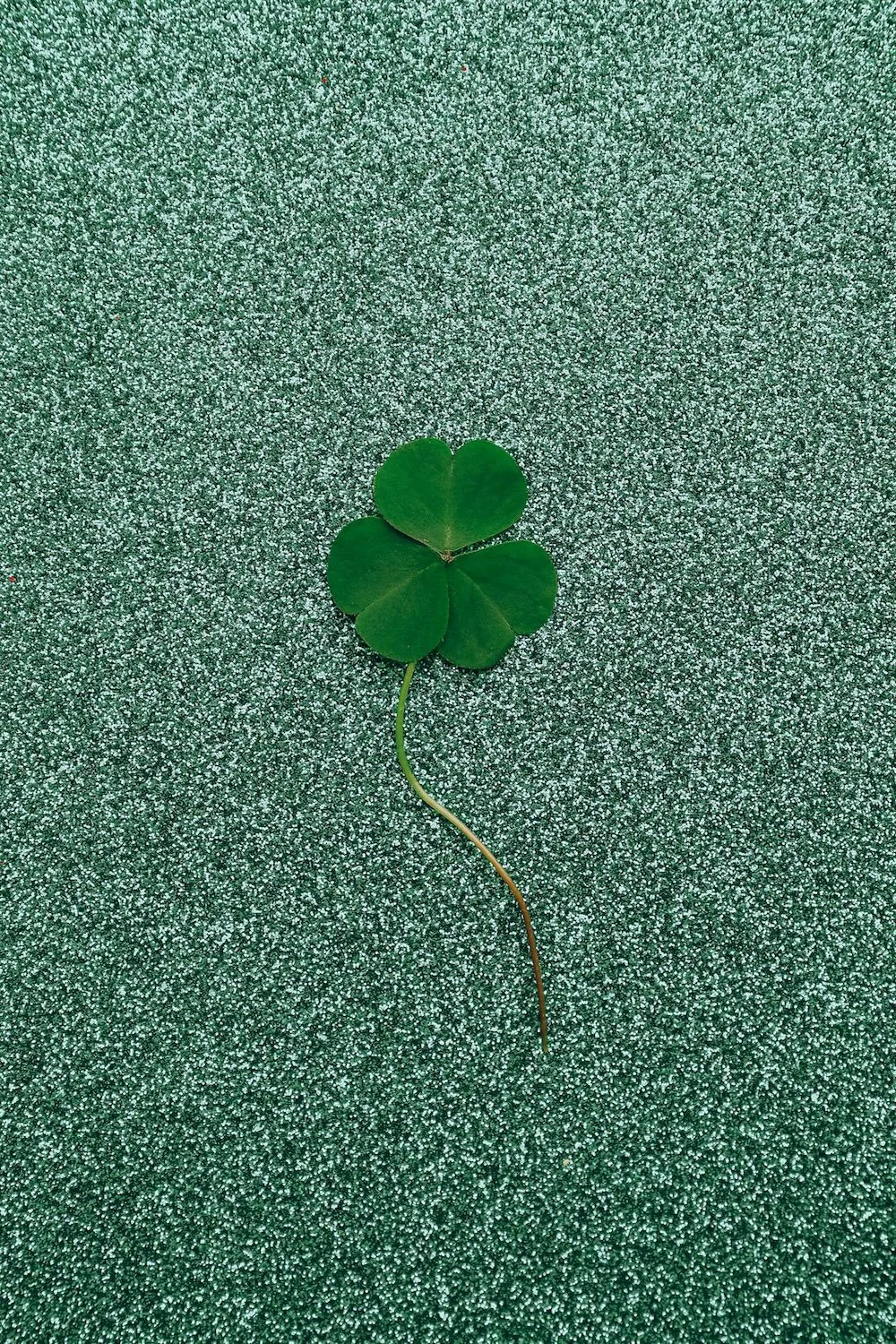 green shamrock on glittery teal background by Anna Shvets Pexels
