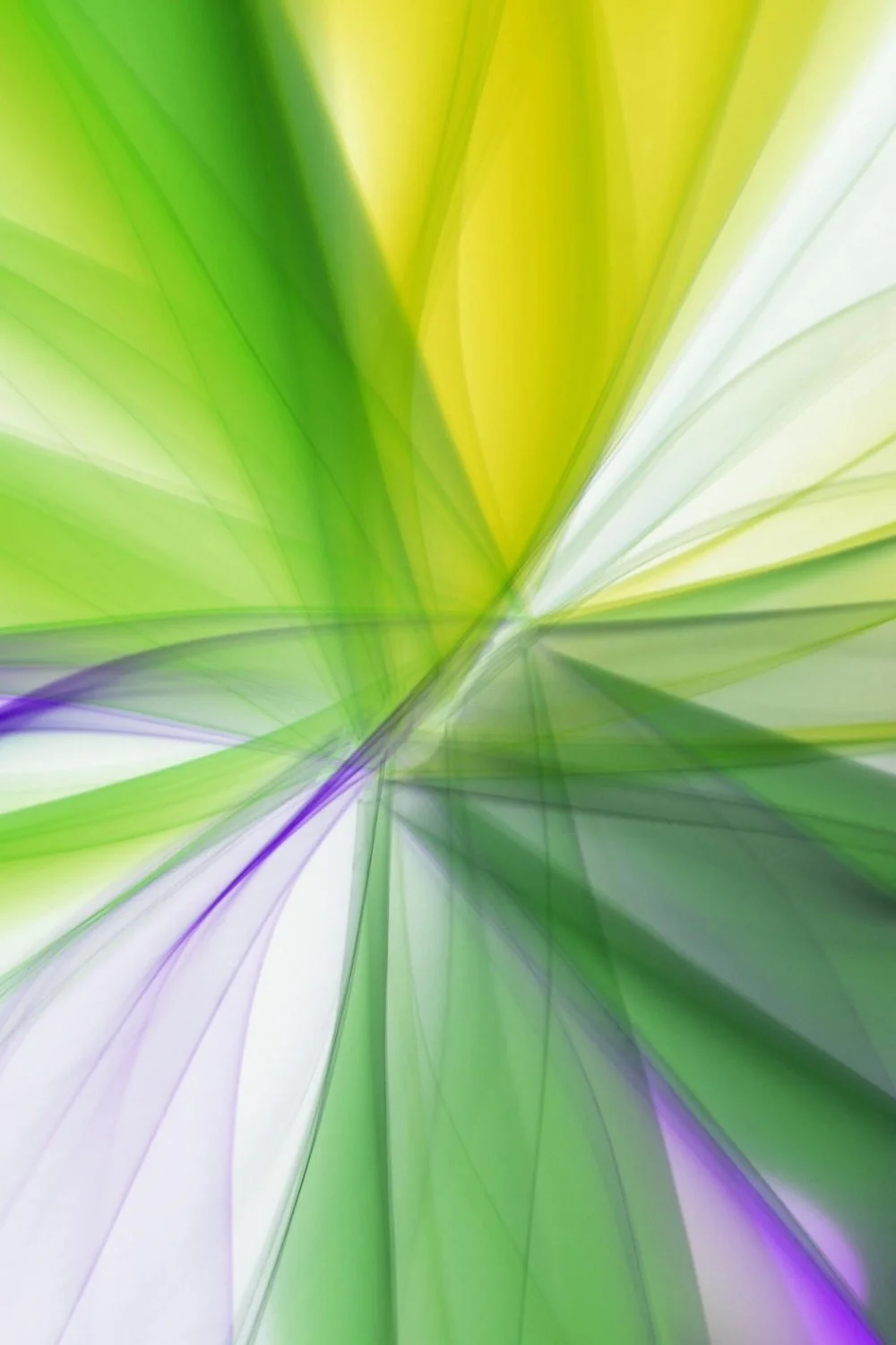 Green and purple abstract lines by Landiva Weber on Pexels