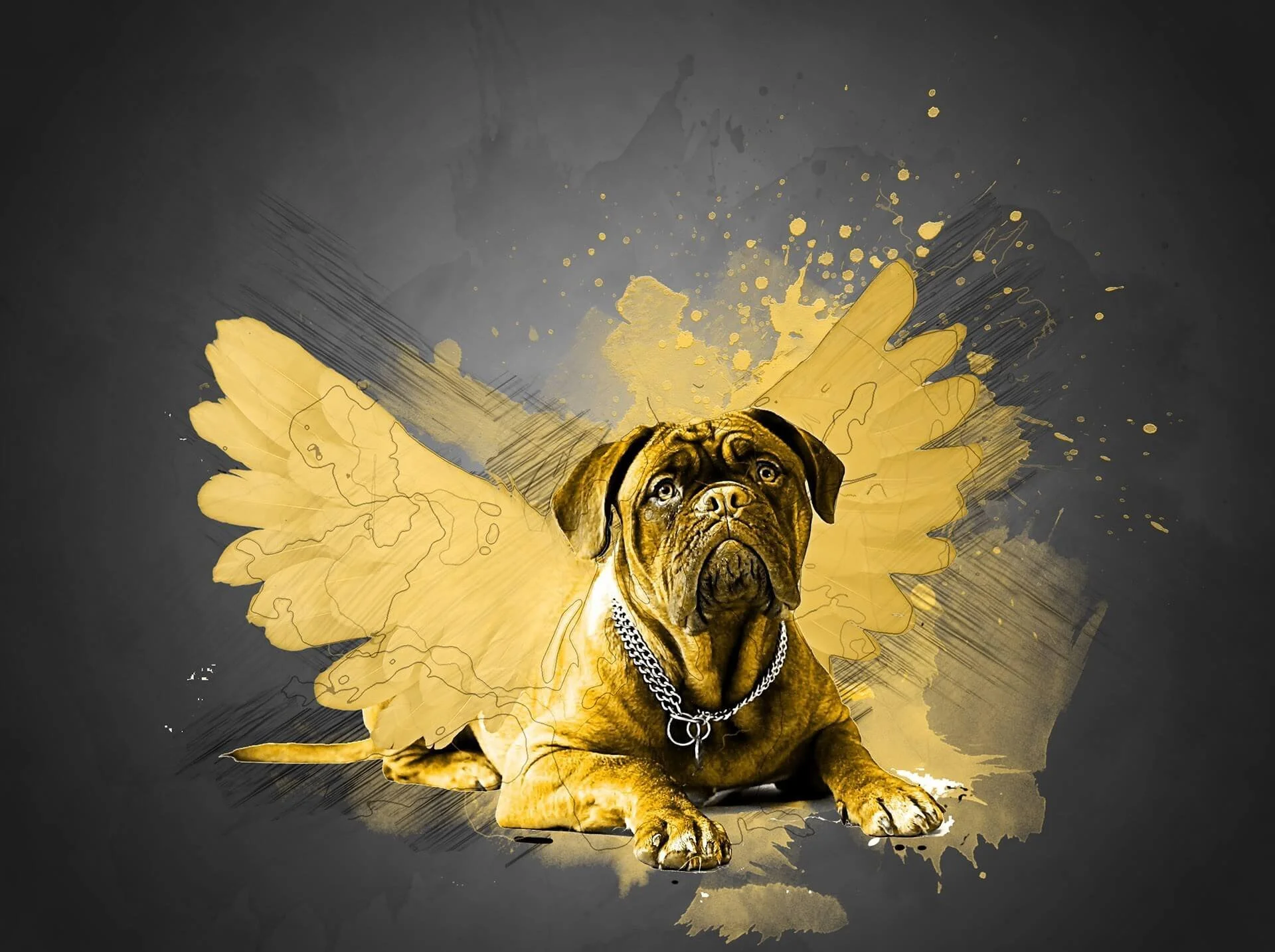 Image of yellow illustrated dog with wing shape by Jills from Pixabay