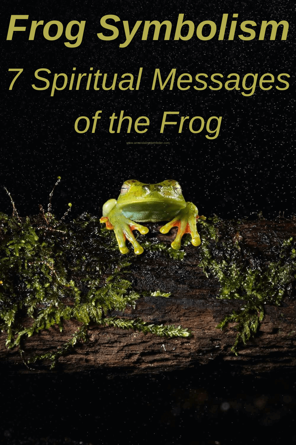 Frog Symbolism: 7 Spiritual Messages of the Frog — Amanda Linette Meder