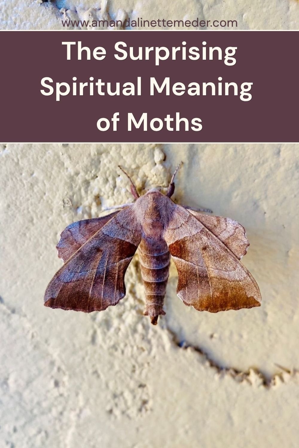 The Surprising Spiritual Meaning of Moths text overlay colorful moth on white background by Adriana Miller Pexels