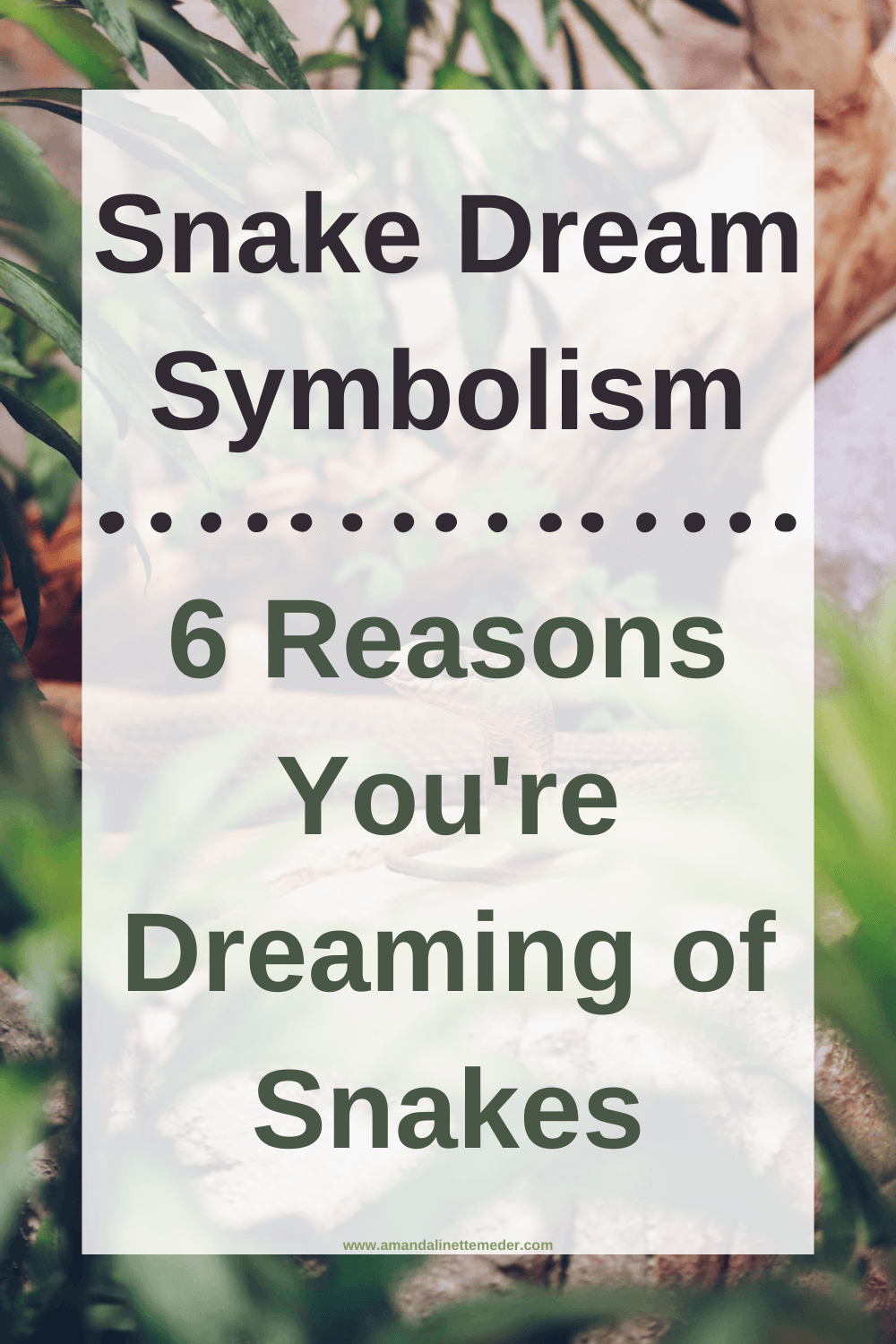 Snake Dream Symbolism 6 Reasons You
