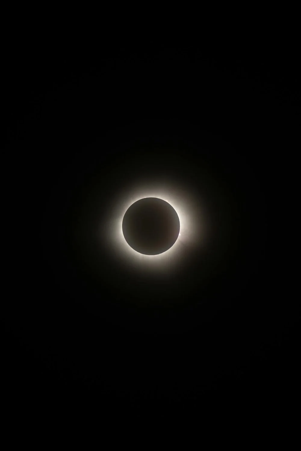 Photo of solar eclipse in white and black by Benjamin Farren on Pexels