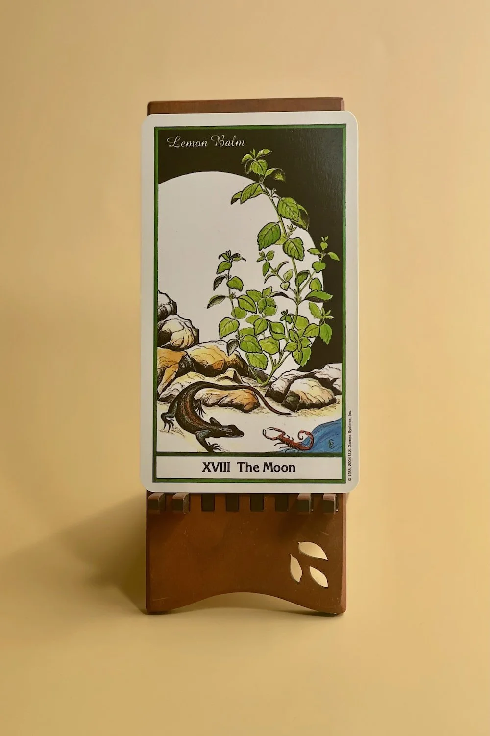 The Moon Tarot card from The Herbal Tarot