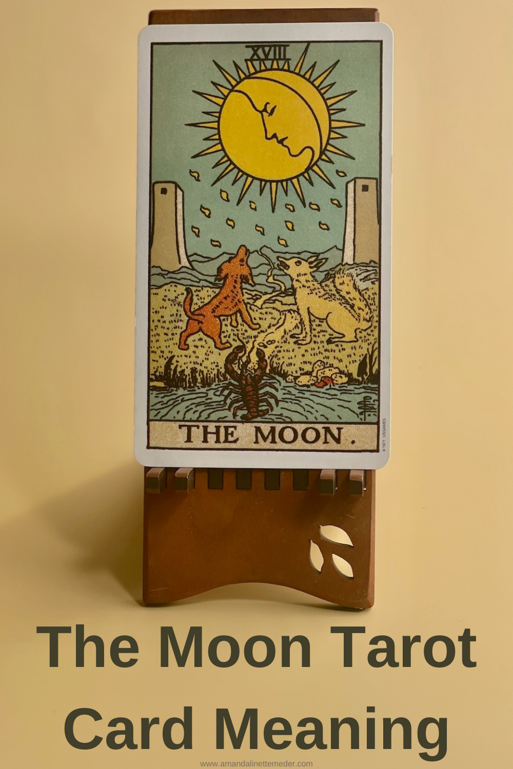 The Moon Tarot Card Meaning — Amanda Meder