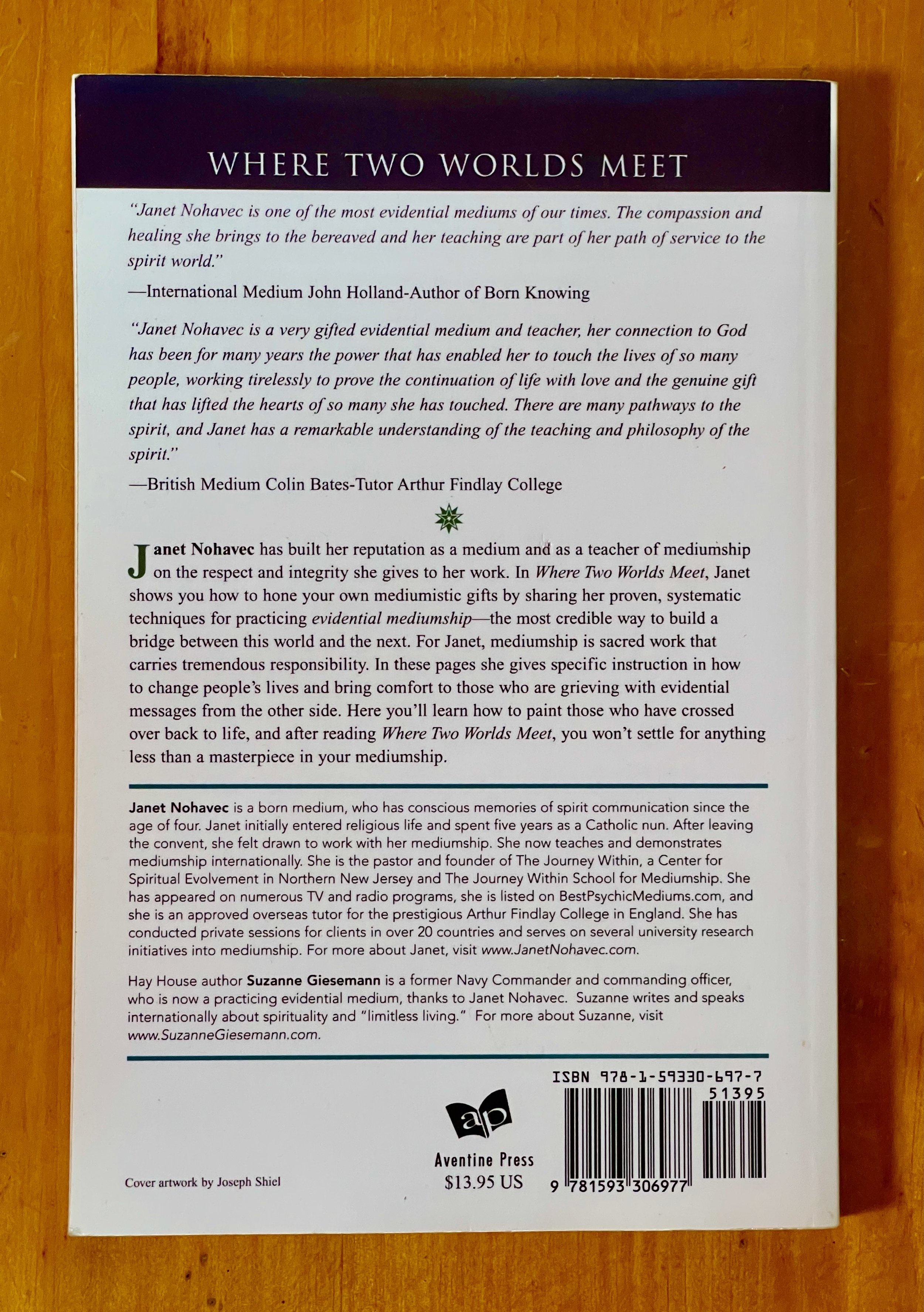 Where Two Worlds Meet back cover.jpeg