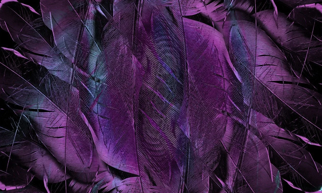 Photo of deep violet and iridescent green-blue feathers by Yuri_B from Pixabay