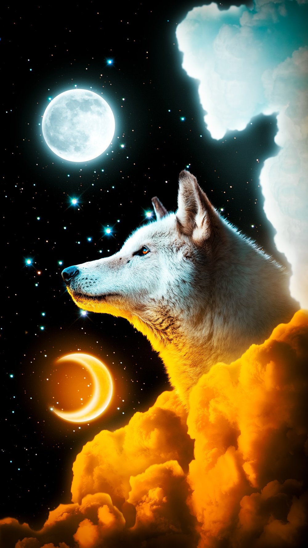 The Spiritual Meaning of the January Wolf Moon