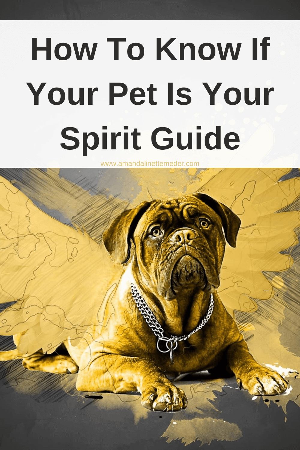 Image of yellow illustrated dog with wing shape by Jills from Pixabay text overlay How To Know If Your Pet Is Your Spirit Guide