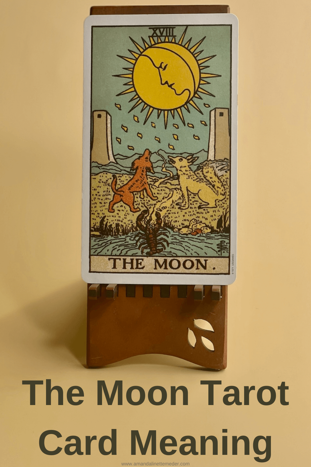 The Moon Tarot card from The Standard Rider Waite Tarot with text overlay The Moon Tarot Card Meaning