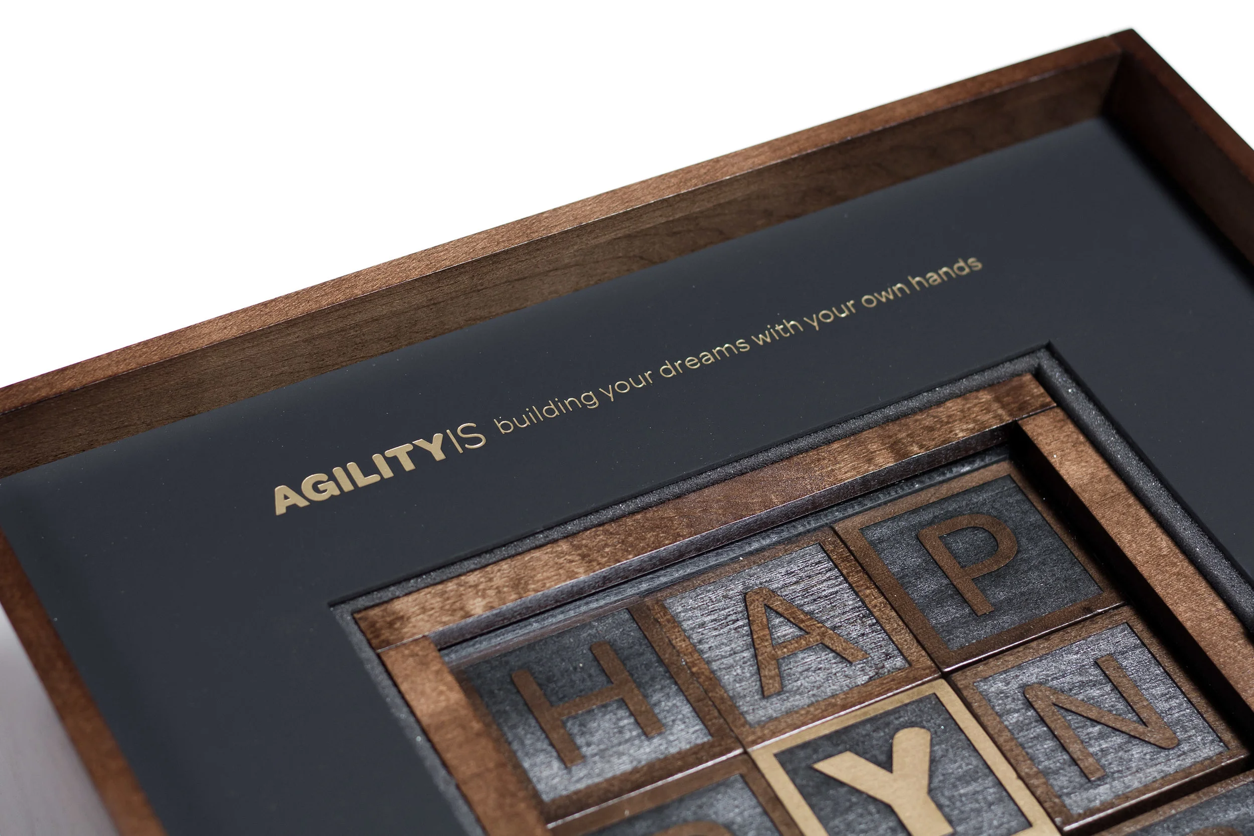 AGILITYIS_award_8.jpg