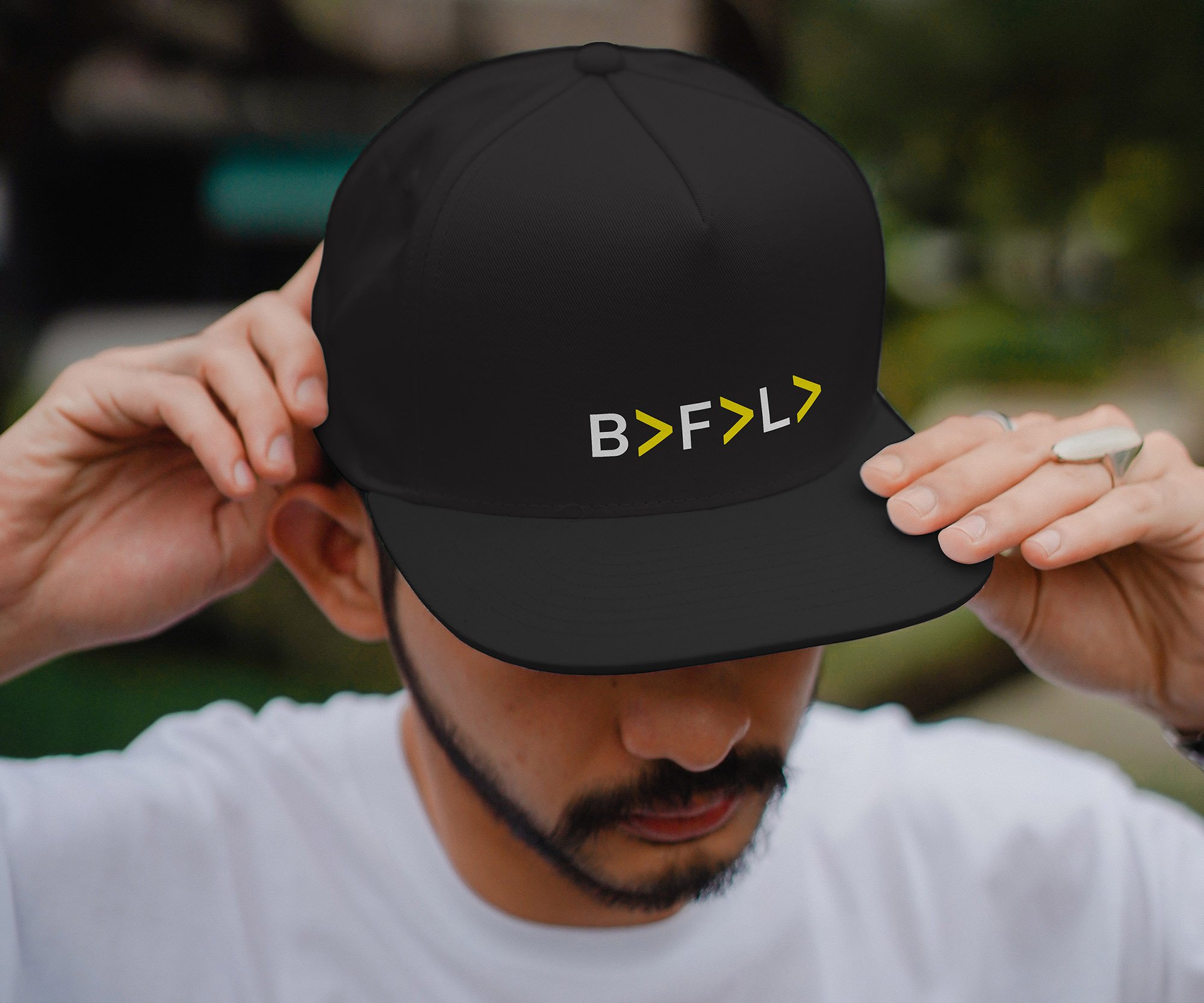 BFL_cap1.jpg