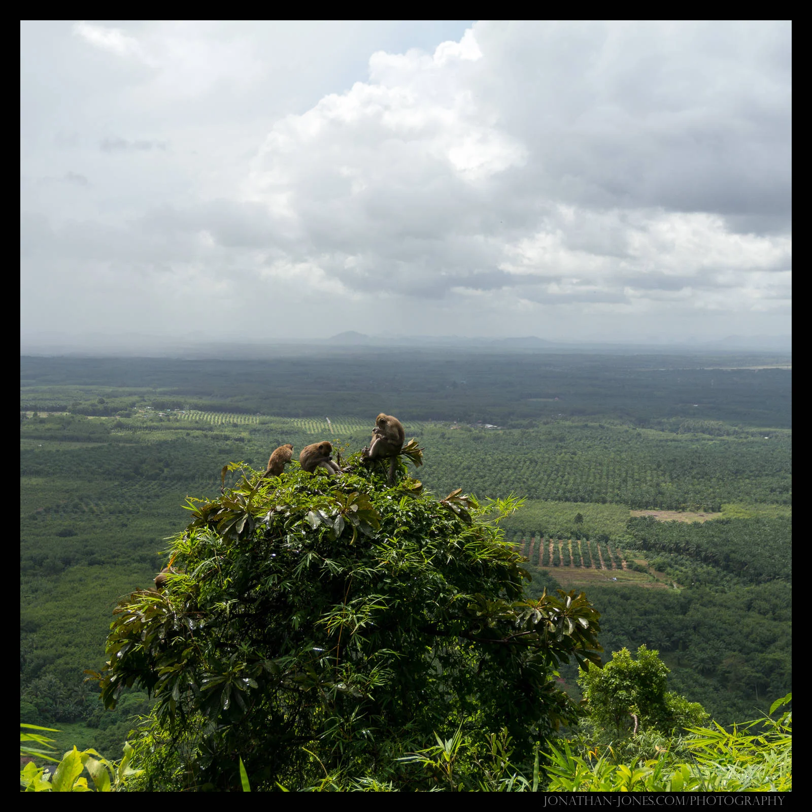 Wat Tham Suea, Krabi