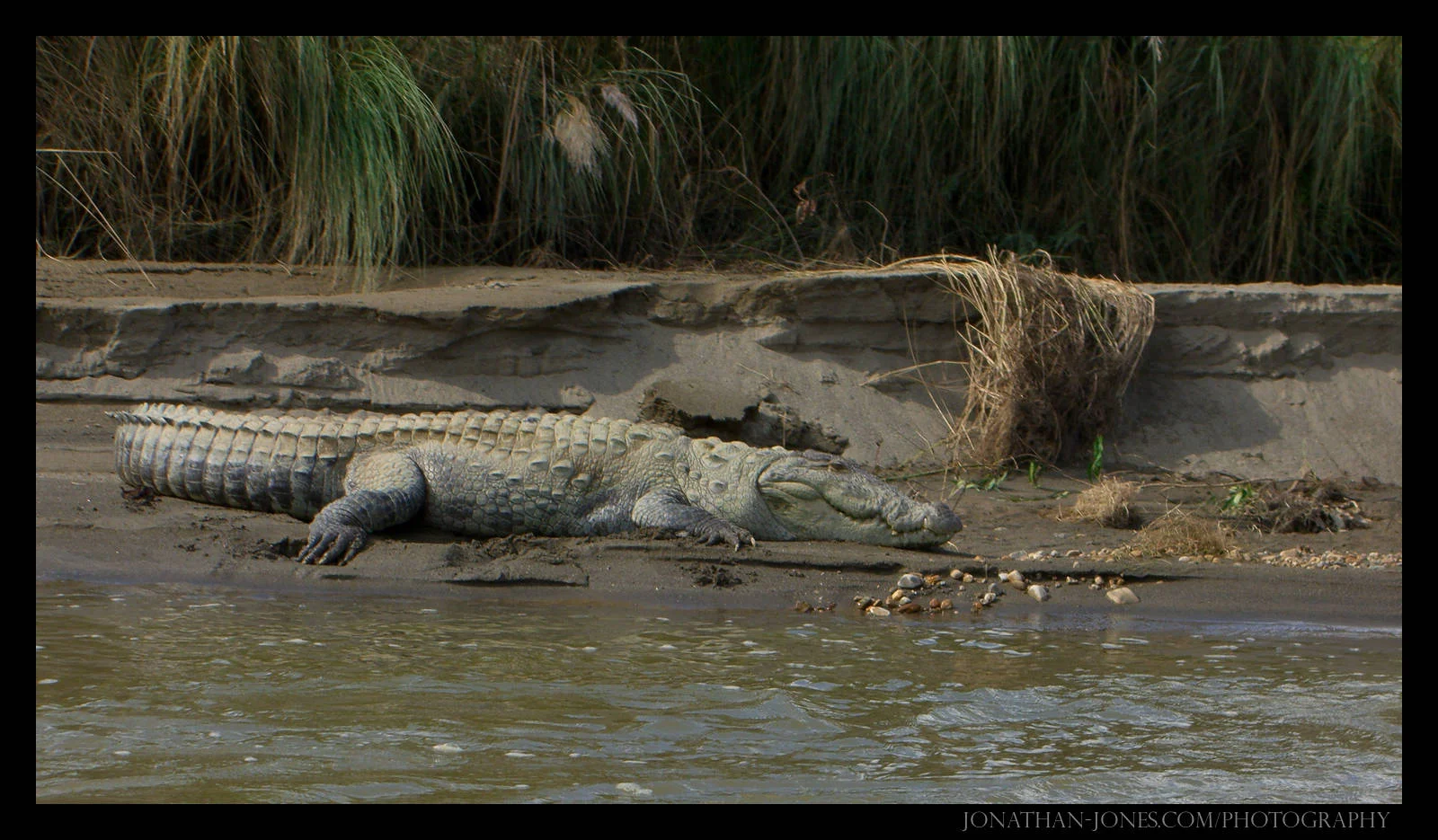 Chitwan National Park