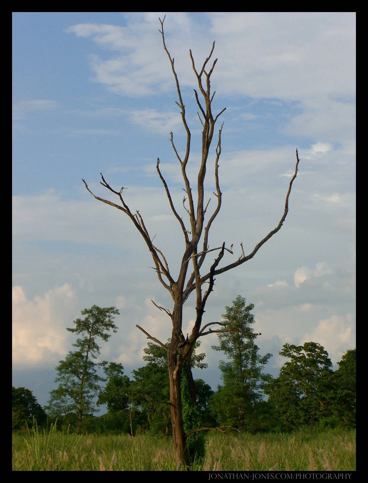 Chitwan National Park