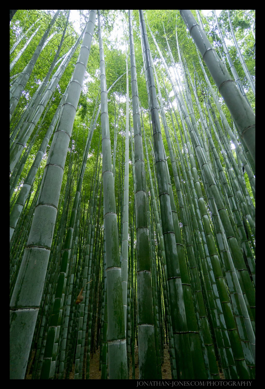 Arashiyama, Kyoto