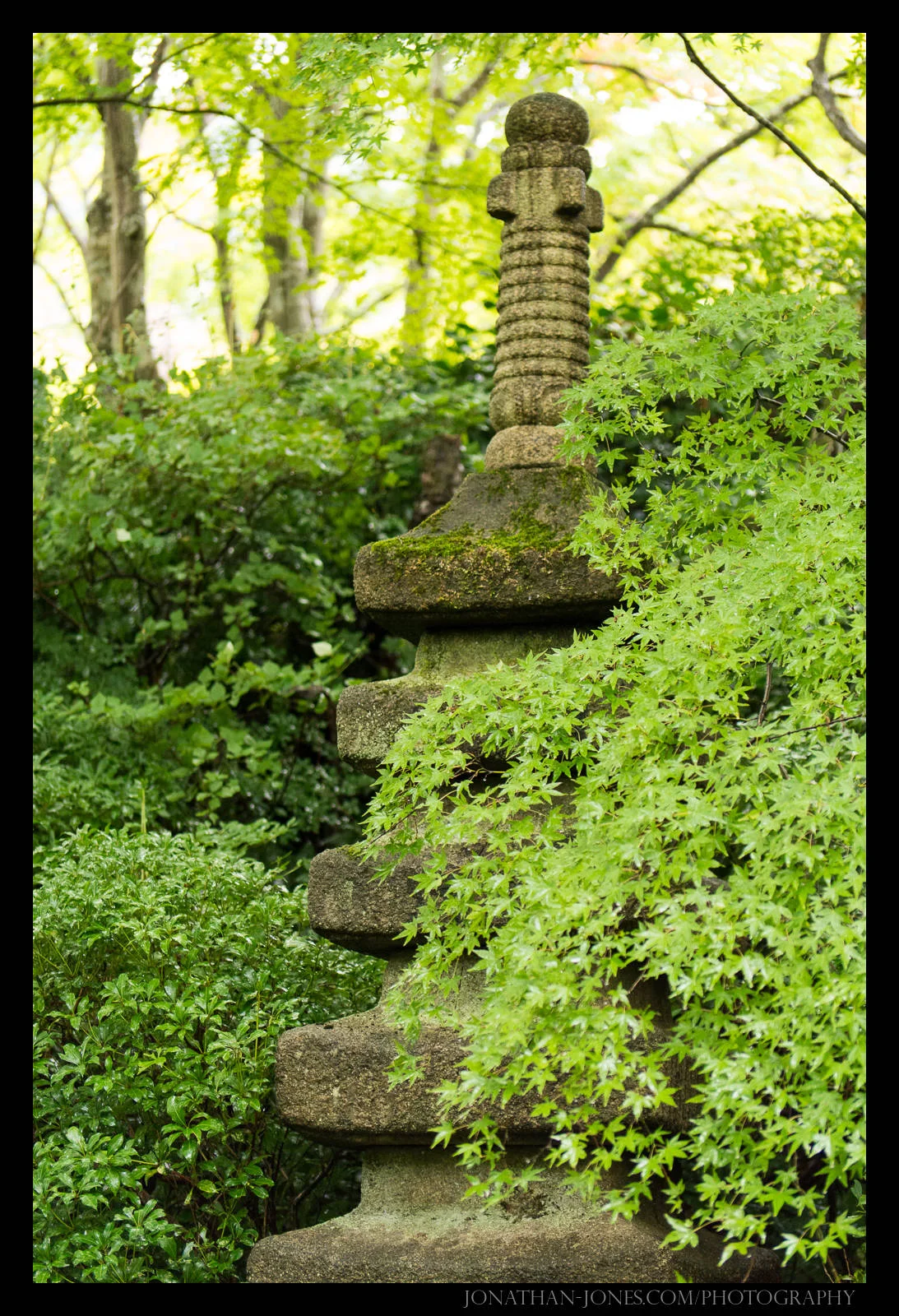 Arashiyama - Okochi Garden, Kyoto