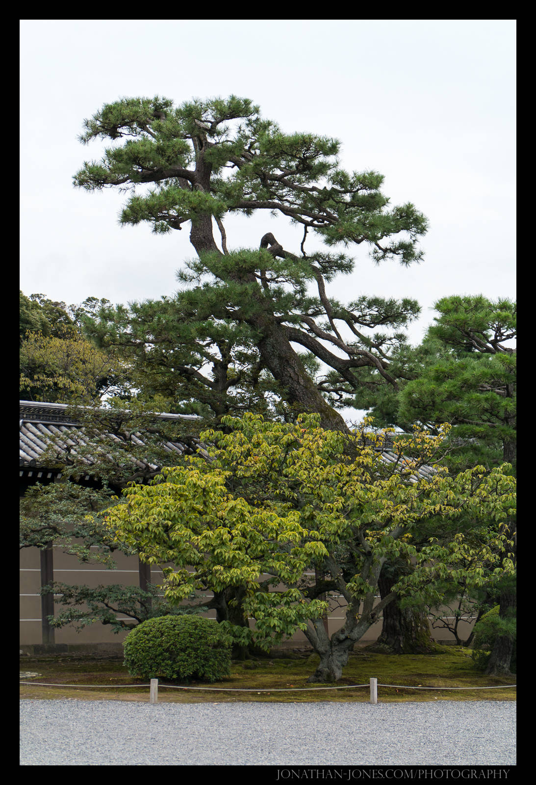 Nijo Castle, Kyoto