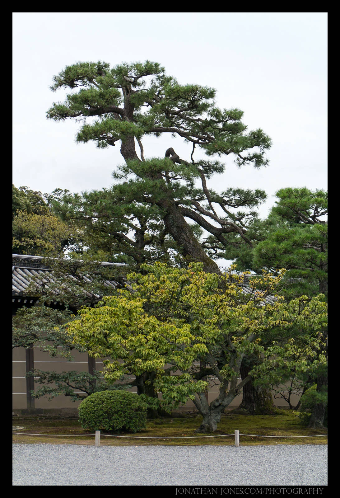 Nijo Castle, Kyoto