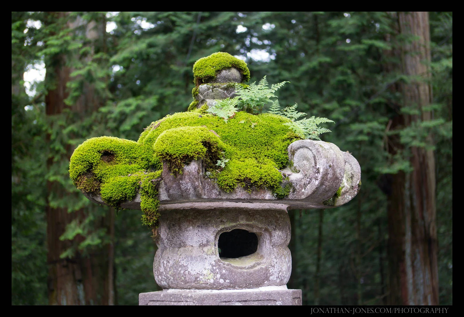Nikko Shrines, Japan