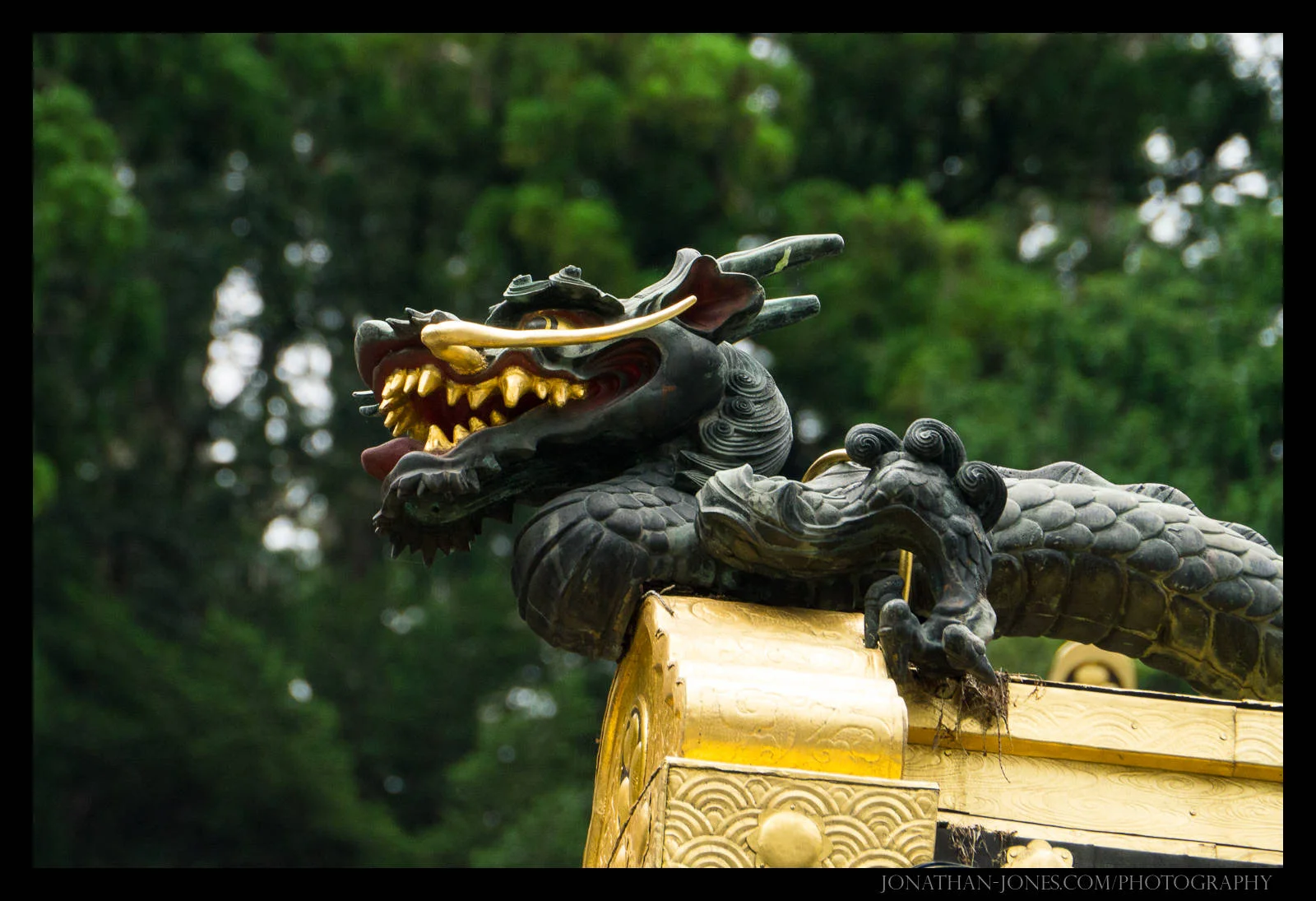 Carved Details, Nikko Shrines, Japan