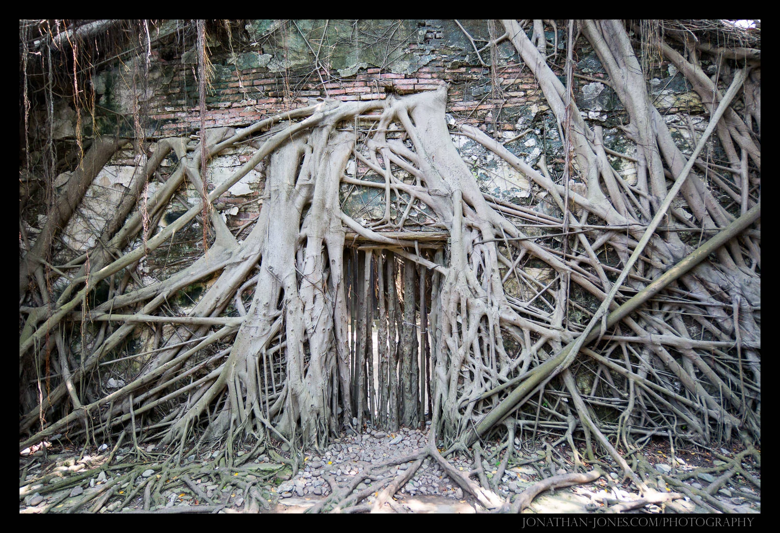 Tainan - Anping - Treehouse