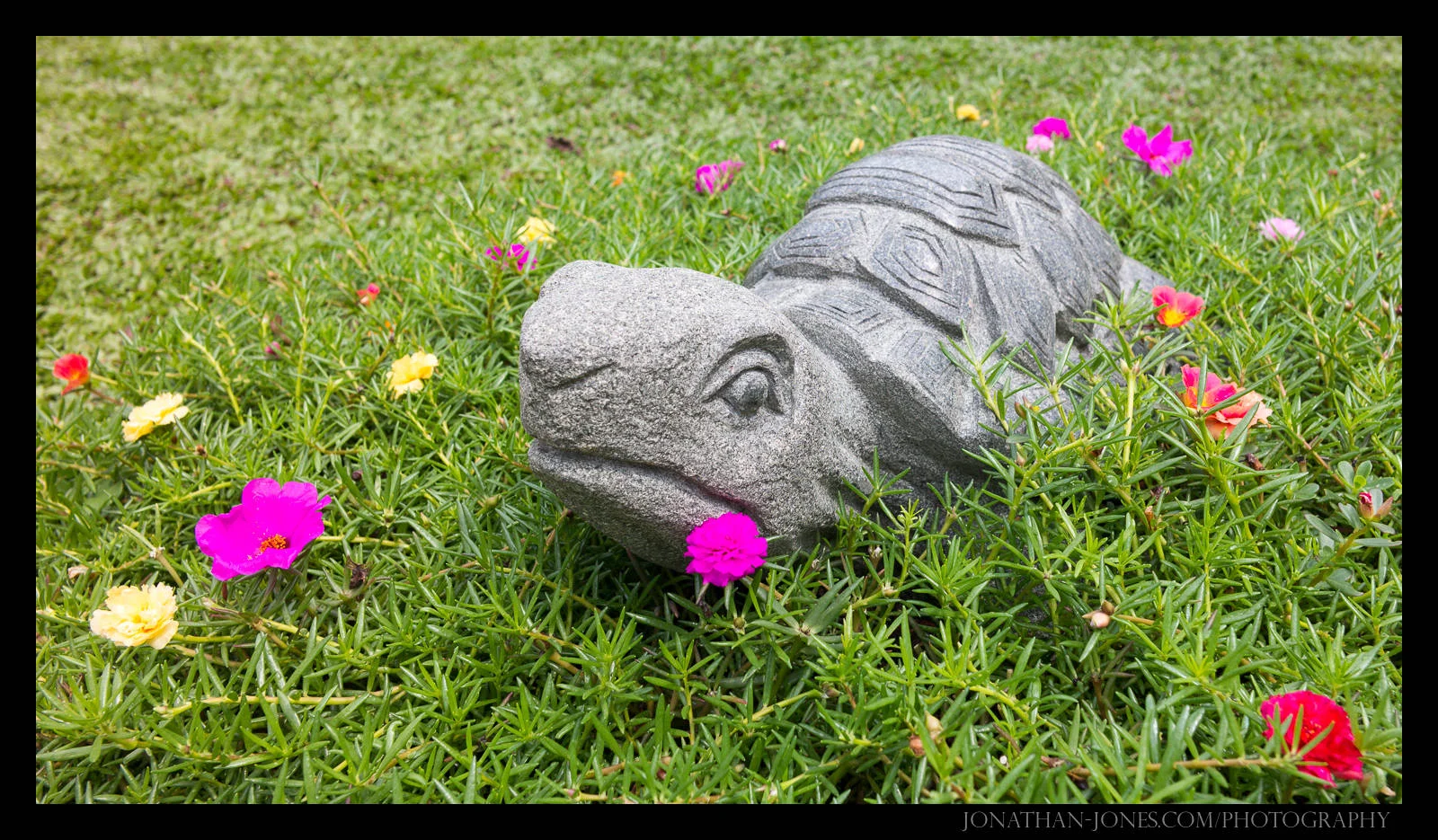 Turtle, Kek Lok Si Temple, Penang, Malaysia
