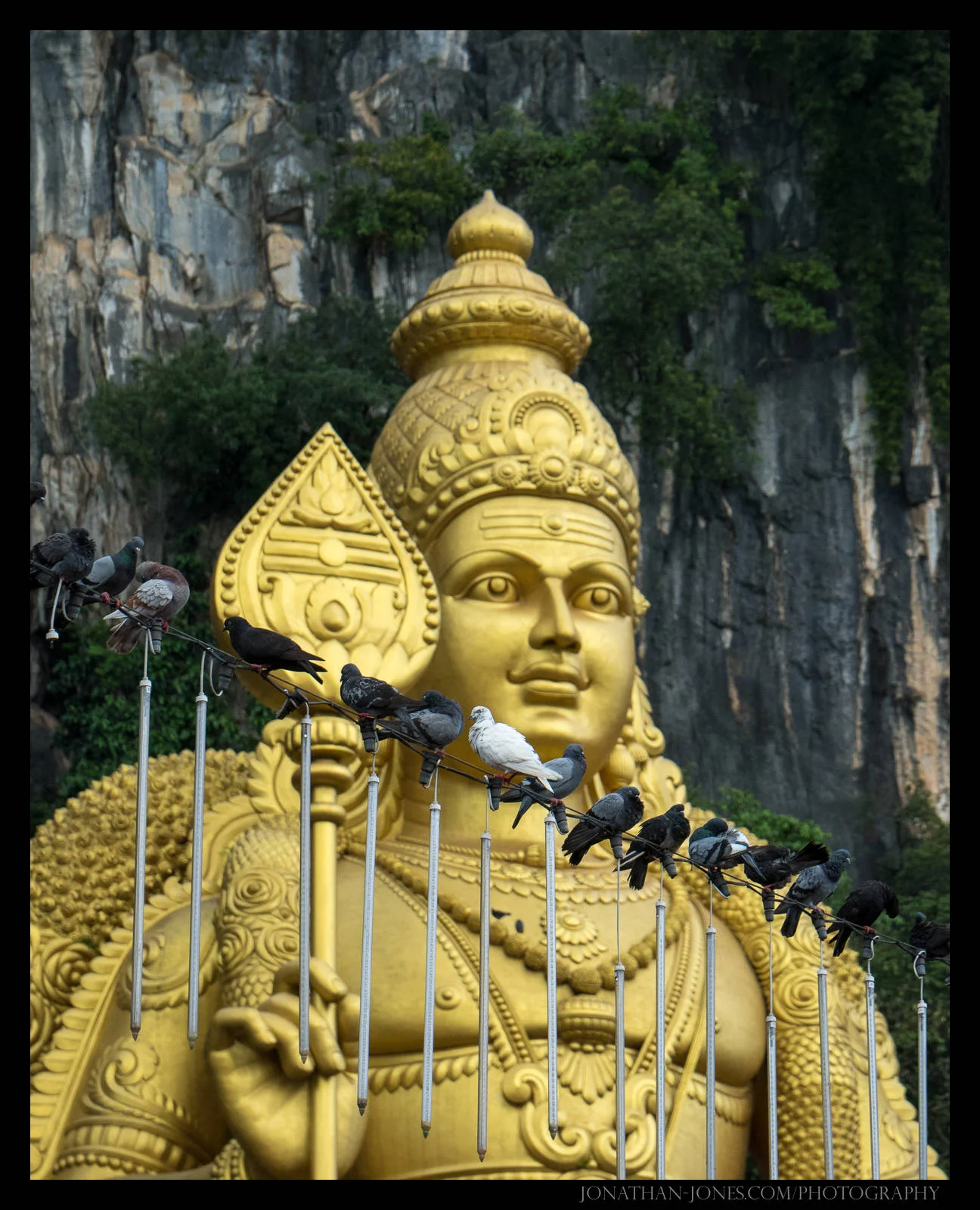 Pigeons, Batu Caves, KL