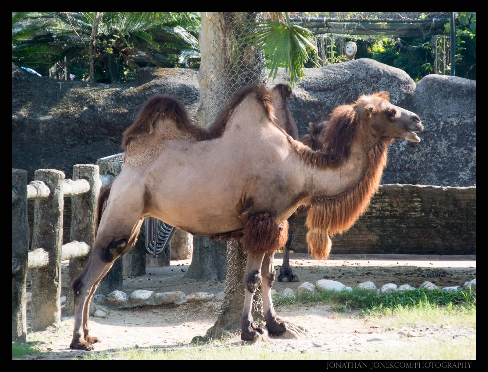 Taipei Zoo