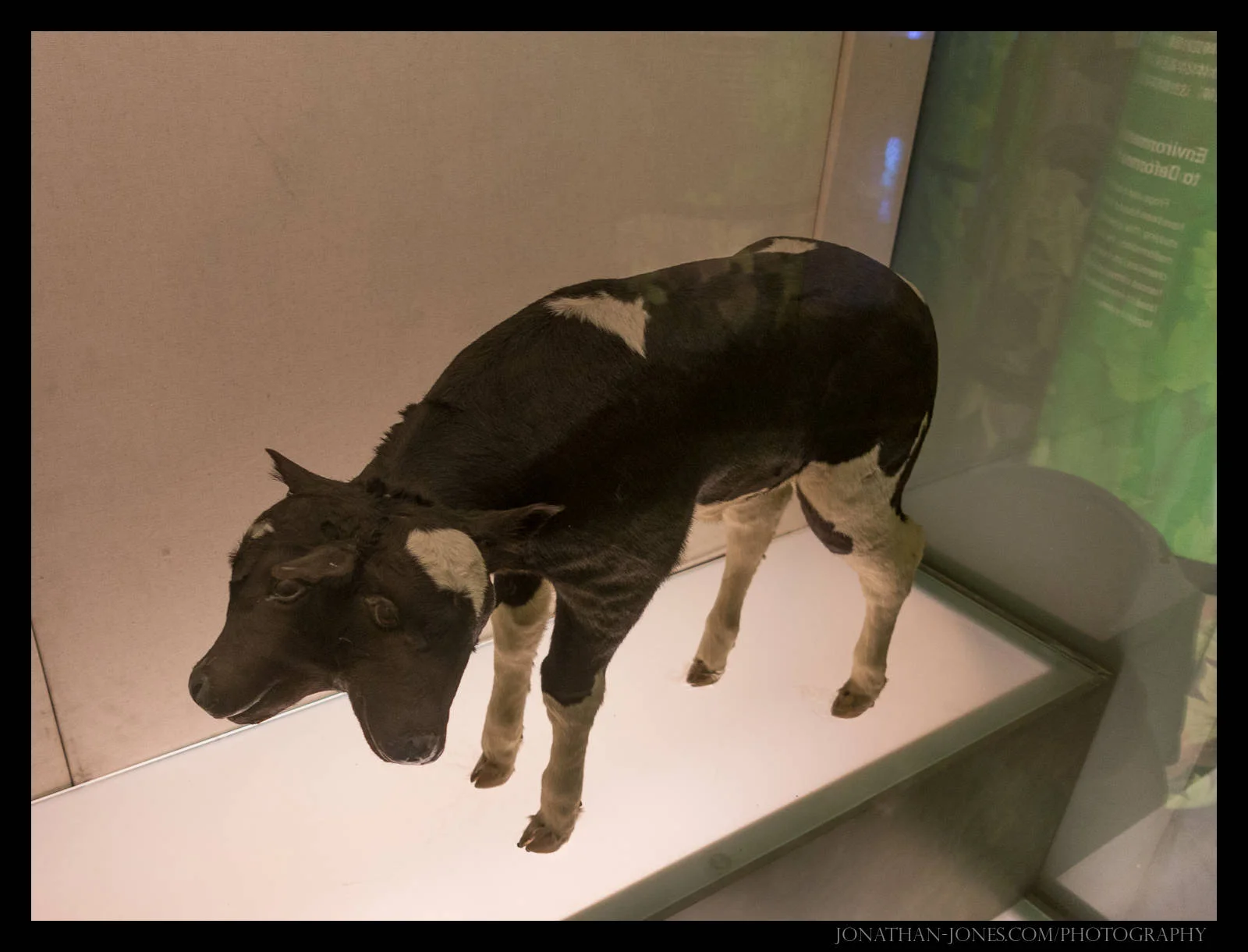 Shanghai Museum of Science and Technology