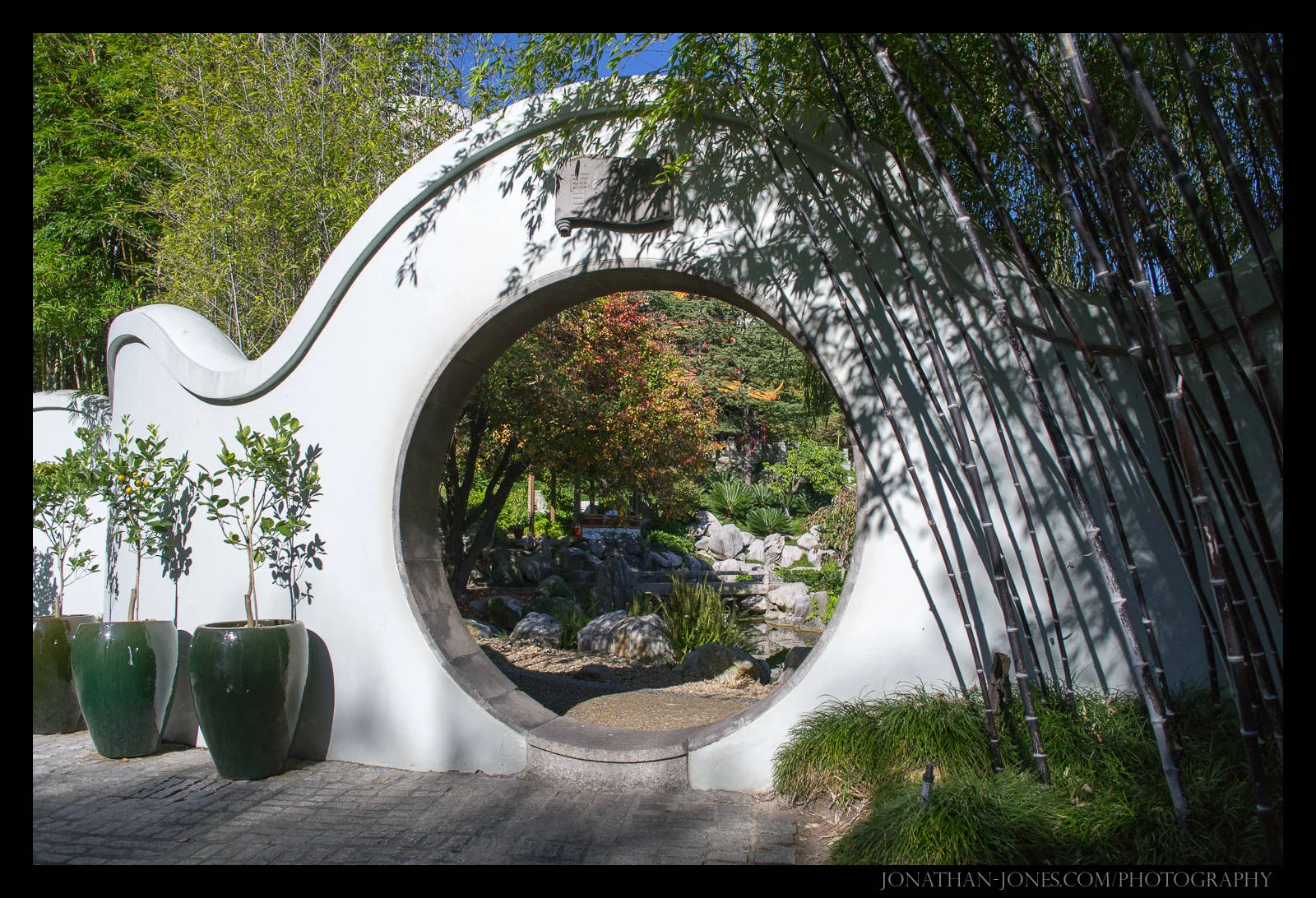 Chinese Garden, Sydney