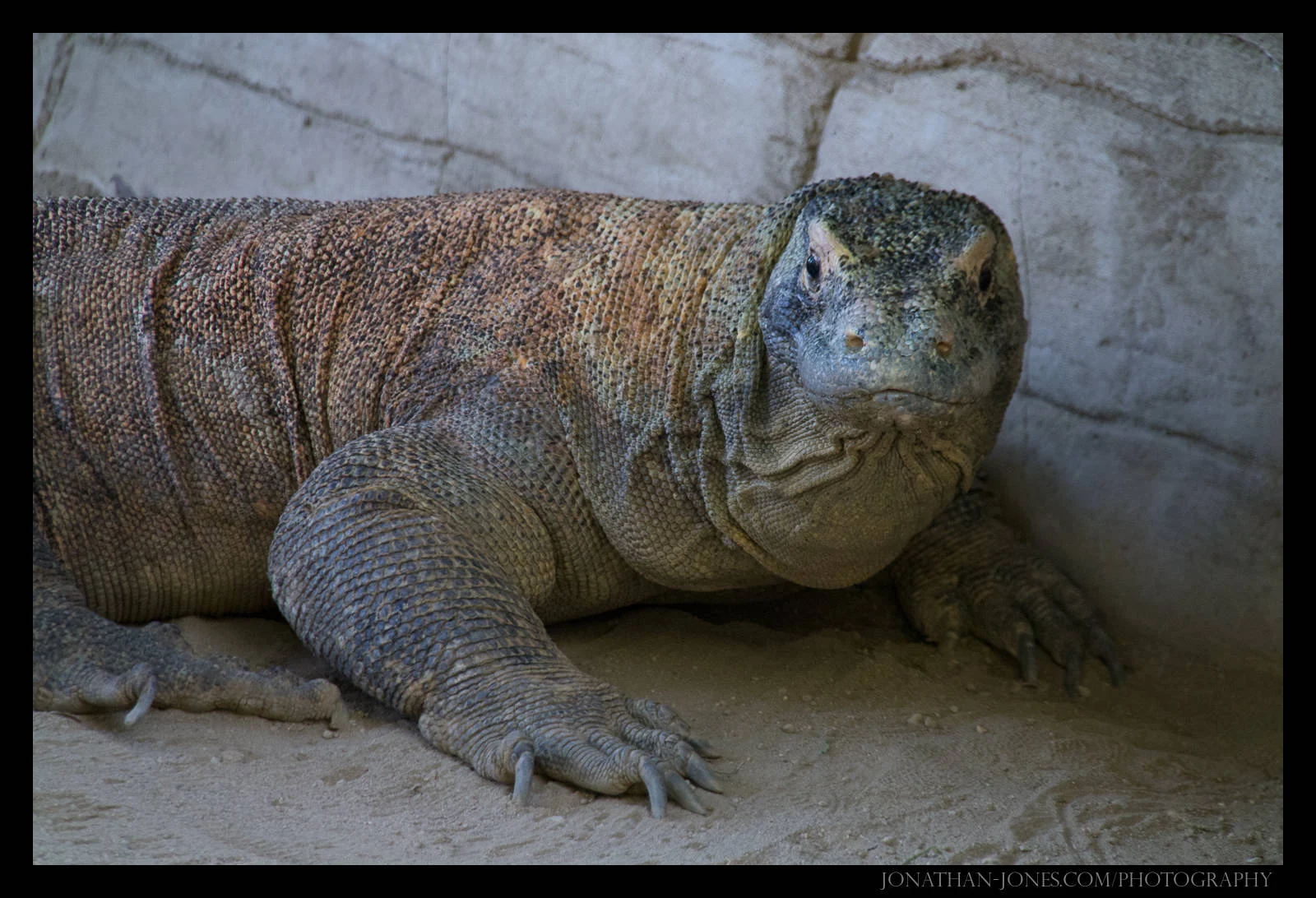 Taronga Zoo, Sydney