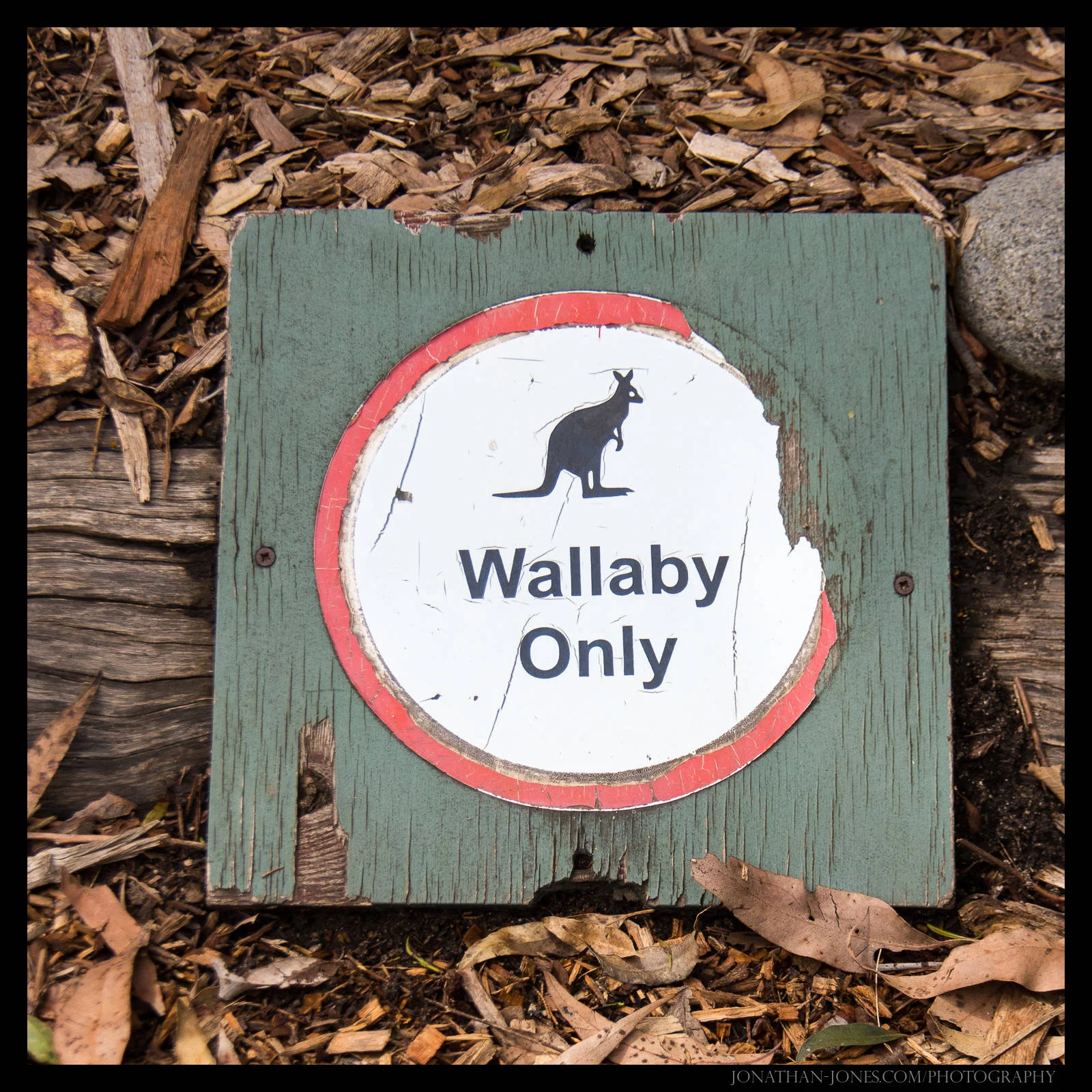 Taronga Zoo, Sydney
