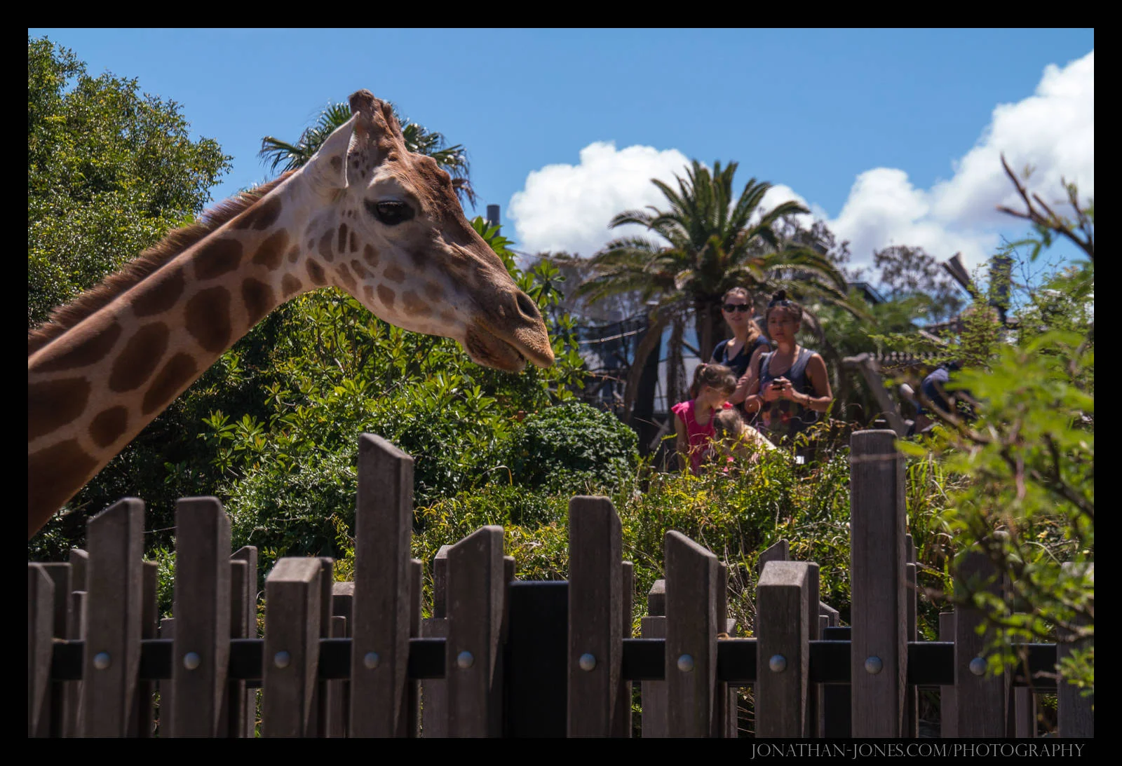 Taronga Zoo, Sydney