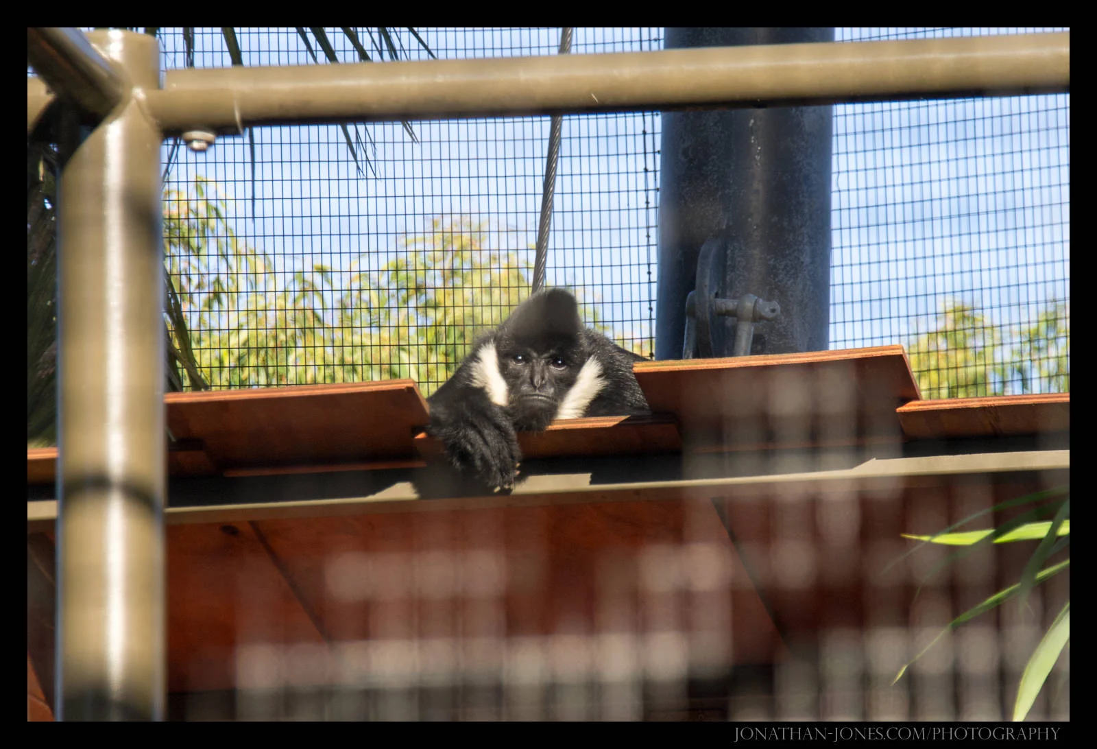 Taronga Zoo, Sydney