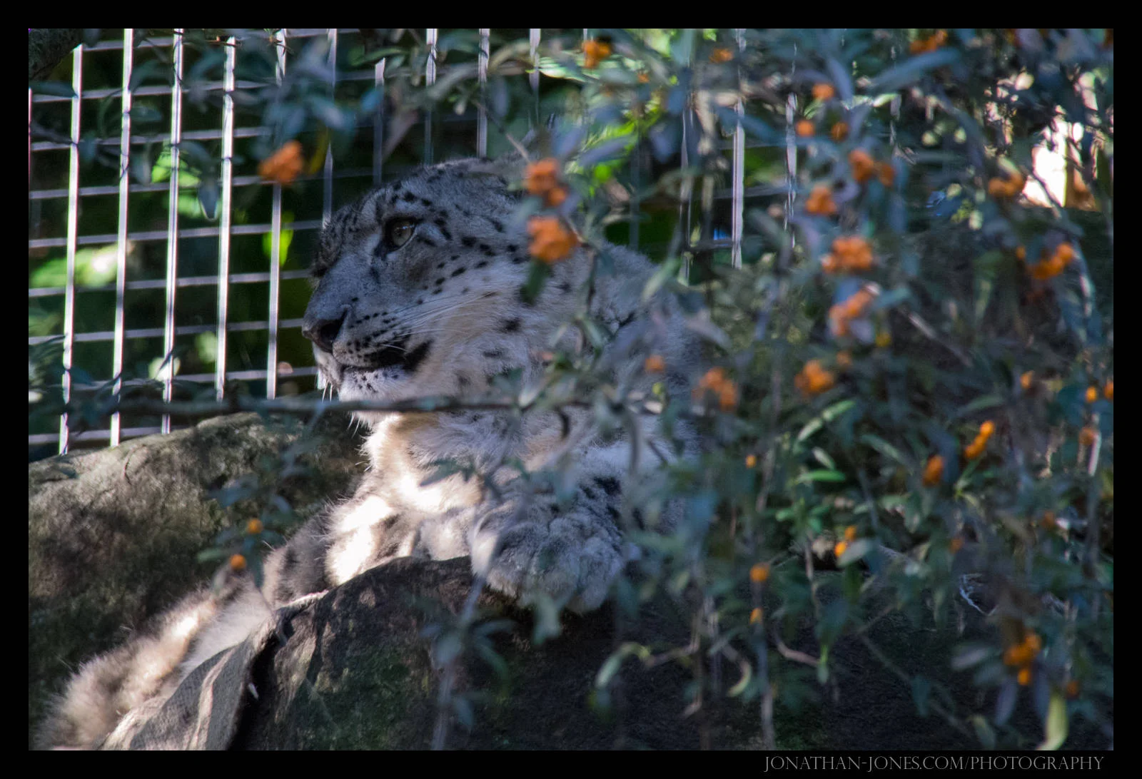 Taronga Zoo, Sydney