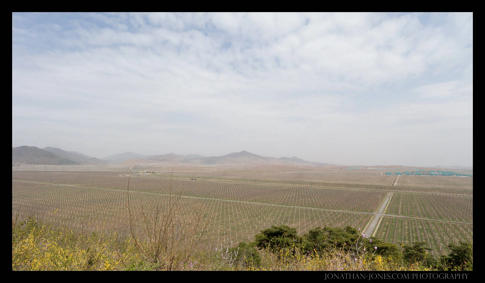 Taesongsan Combined Fruit Farm
