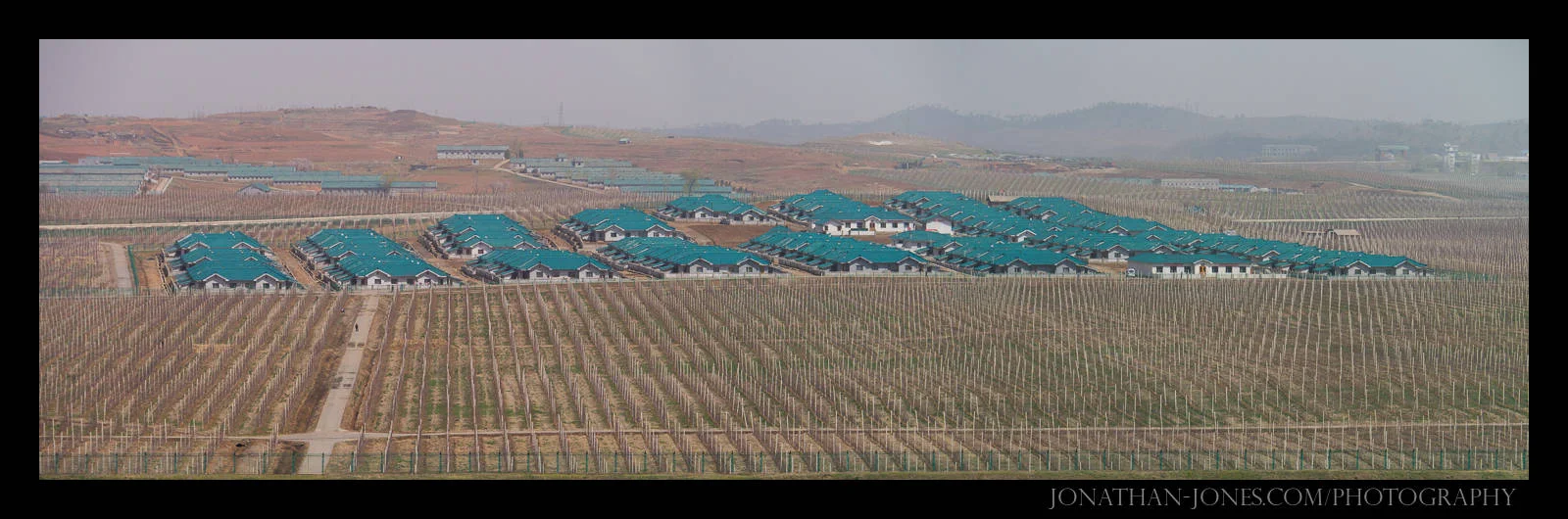 Taesongsan Combined Fruit Farm