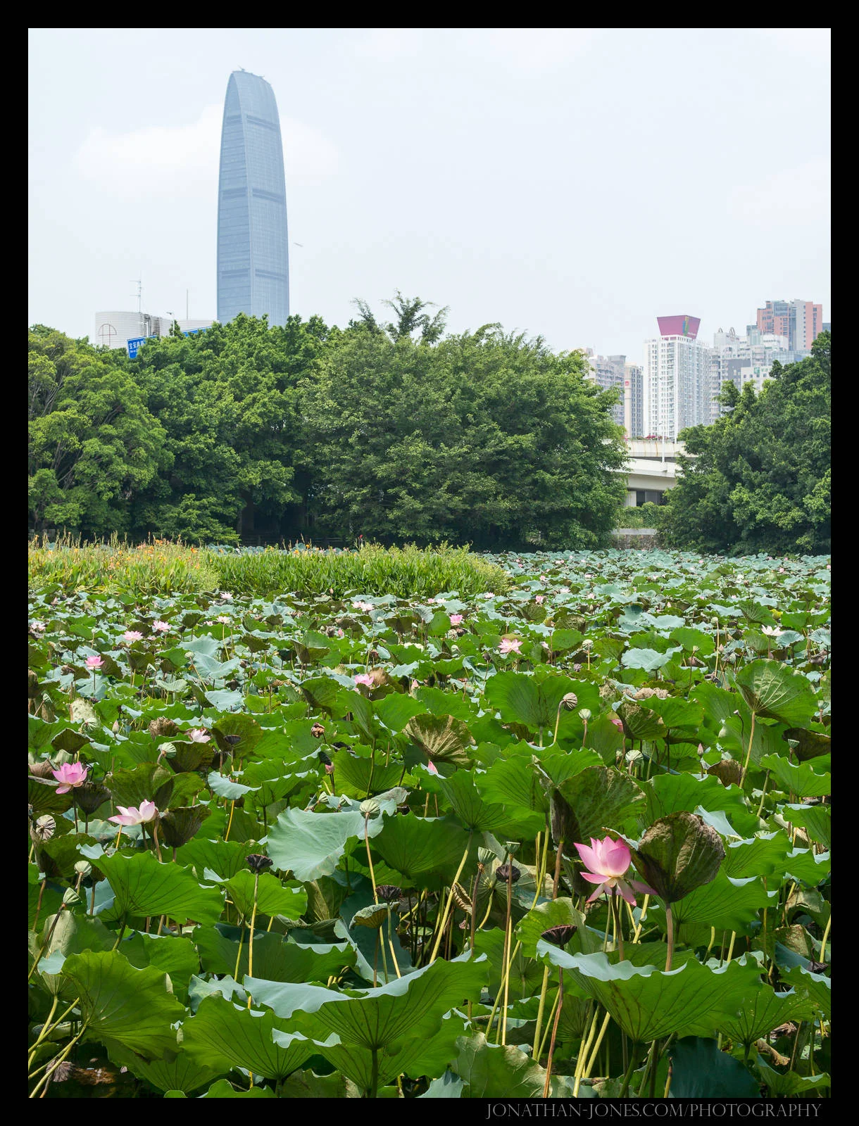 People's Park, Shenzhen