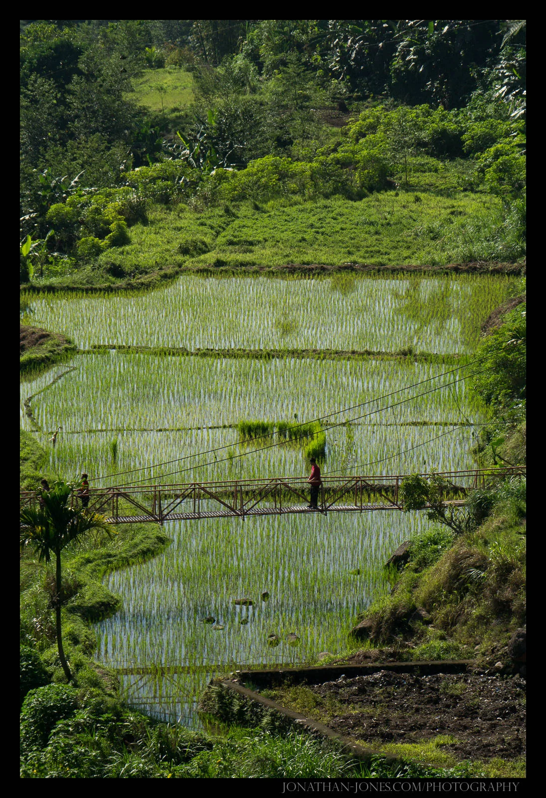 www.jonathan-jones.com/photos/philippines