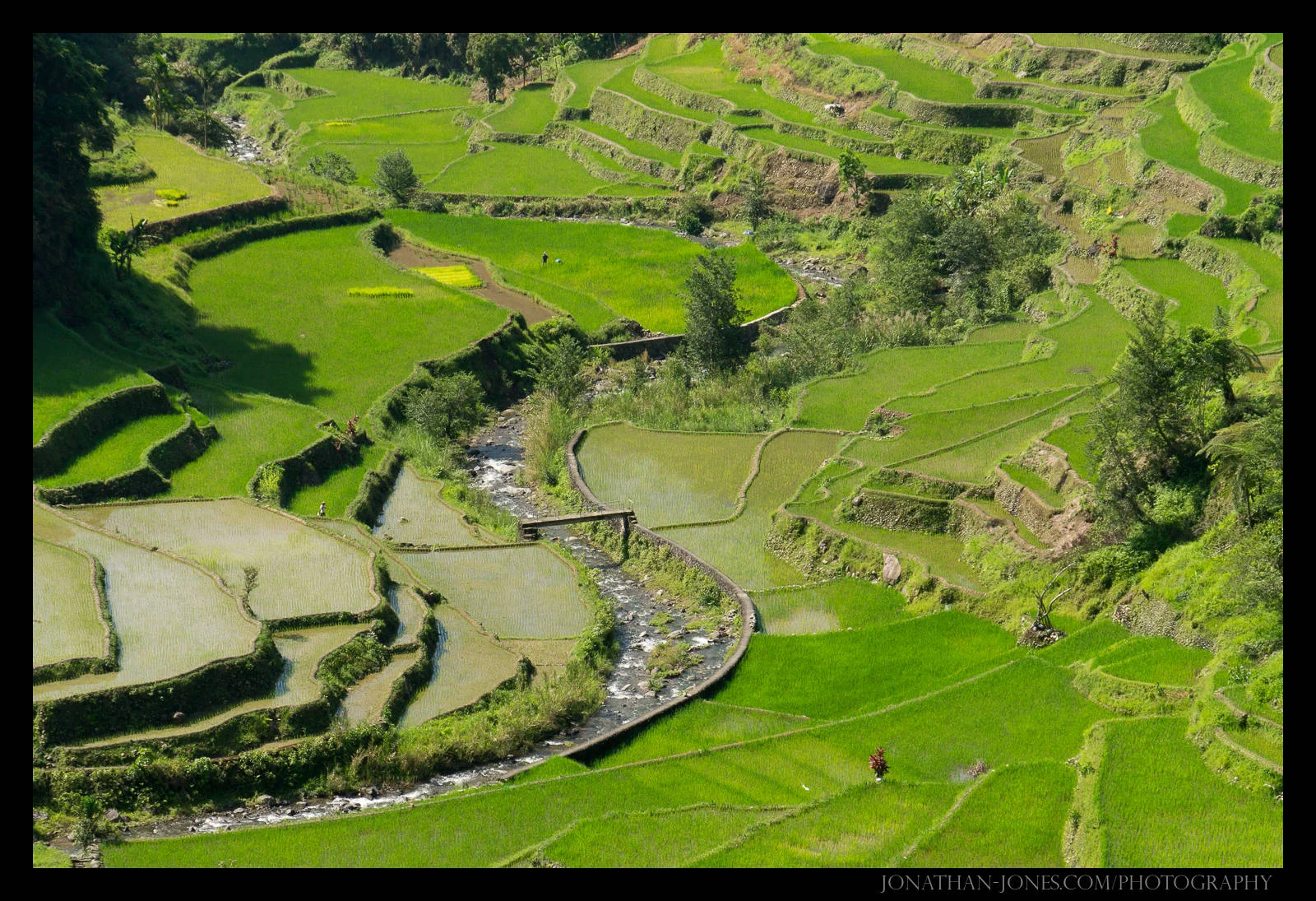 www.jonathan-jones.com/photos/philippines