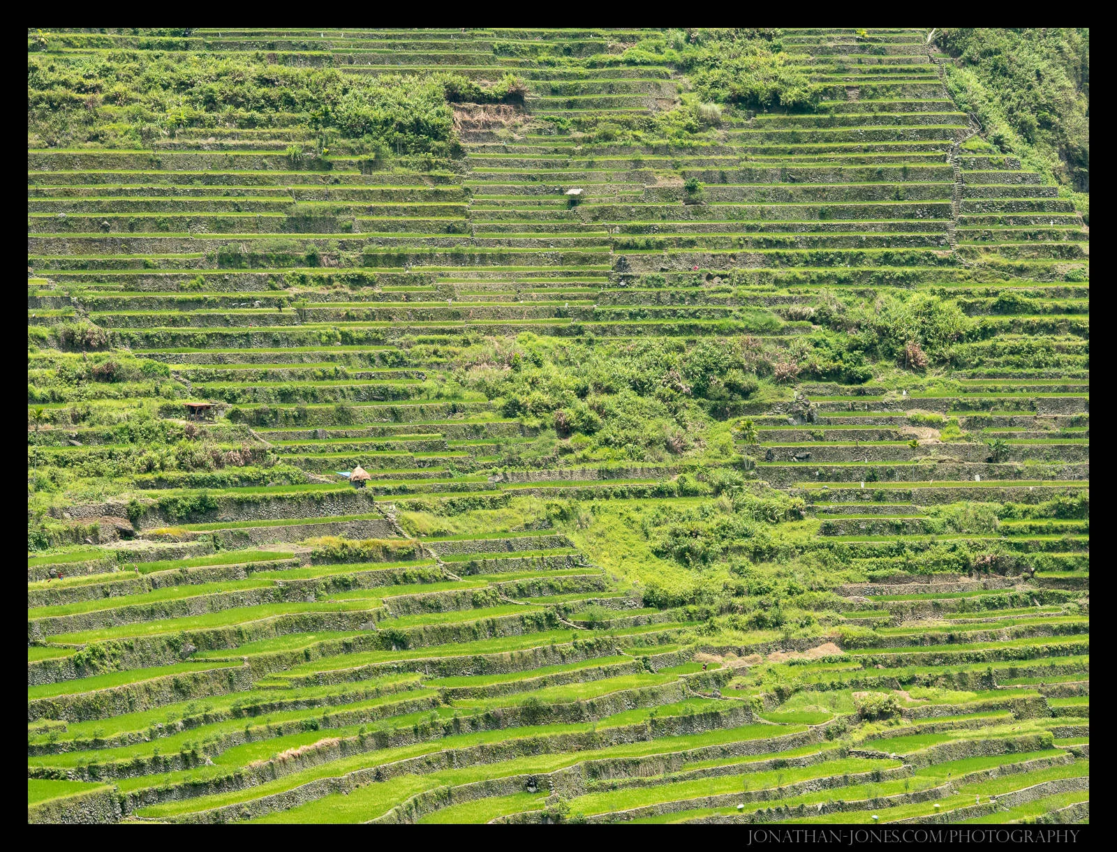 Batad, Luzon, Philippines