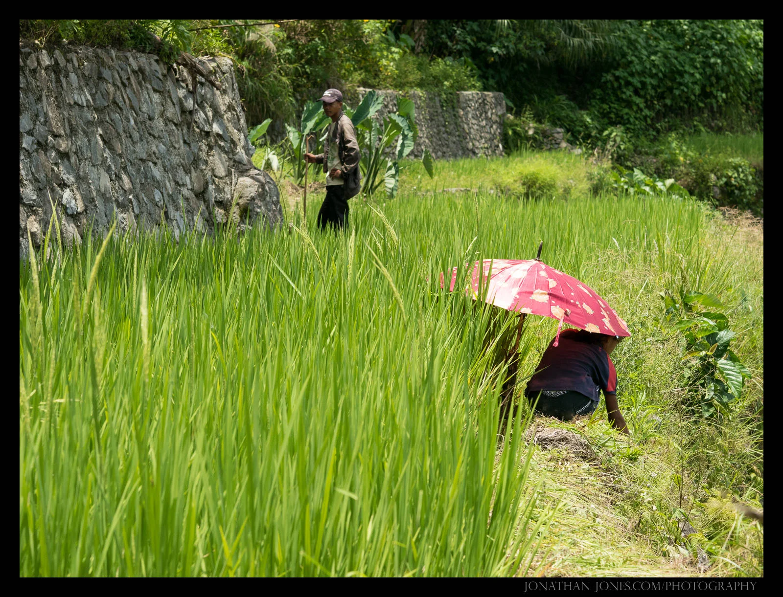 Batad, Luzon, Philippines