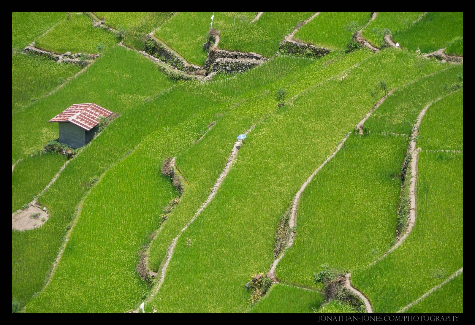 Batad, Luzon, Philippines